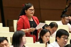 Thảo luận chủ trương đầu tư Chương trình mục tiêu quốc gia về phát triển văn hóa