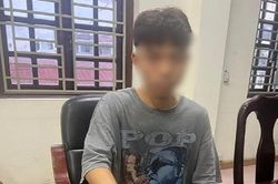 Giấu ma túy trong túi thực vật khô