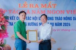 Gặp gỡ anh nông dân: Nguyễn Văn Minh Ý và câu chuyện khởi nghiệp đầy lý thú trong lĩnh vực nấm
