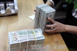 Giá USD sáng 20/6 biến động nhẹ