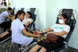 Thu 520 đơn vị máu tại 'Ngày hội những giọt máu hồng - hè 2024'