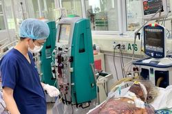 Người đàn ông rơi vào nguy kịch sau khi mổ lợn