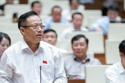 Đẩy sớm hiệu lực thi hành luật: giải quyết tồn tại trong vấn đề đất đai