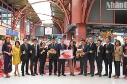 Vải thiều Việt Nam khẳng định thương hiệu tại Thái Lan