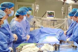 Hàng chục bác sĩ cúi đầu trước quyết định của gia đình có người thân chết não