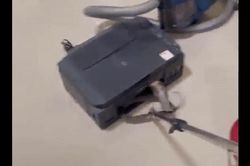 Clip: Bị bắt, rắn hổ mang hung hăng đe đọa, tấn công người