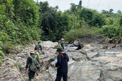 Quỹ Bảo vệ và Phát triển rừng Quảng Nam thu gần 87,6 tỷ đồng từ dịch vụ môi trường rừng