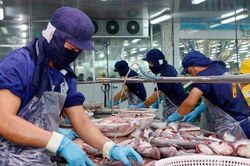 Top 5 doanh nghiệp xuất khẩu cá tra lớn nhất trong 5 tháng đầu năm 2024