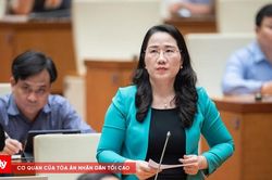 Dự thảo Luật Tư pháp NCTN: Đủ nghiêm khắc nhưng cũng nhân văn