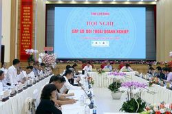 Lâm Đồng gặp gỡ, đối thoại 'gỡ khó' cho doanh nghiệp