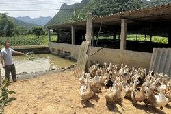 Hà Quảng tổng nguồn Quỹ Hỗ trợ nông dân quản lý hơn 10,4 tỷ đồng