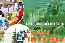 Đổi mới, phát triển hợp tác xã: Kỳ vọng 'bình mới, rượu mới'