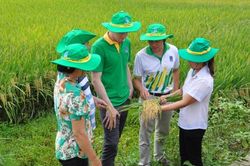 Đã đến lúc không thể không sửa đổi Luật 71