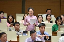 Đánh giá kỹ lưỡng, tác động nhiều mặt của việc áp thuế suất 5% với phân bón