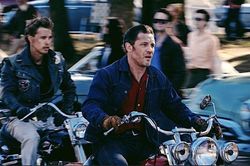 'The Bikeriders' - 'Hồi sinh' văn hóa mô tô bằng góc nhìn đương đại