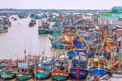 Kiên quyết xử lý các vi phạm khai thác IUU
