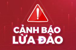 Đầu tư 'Sàn tài chính online', người phụ nữ bị lừa gần 800 triệu đồng