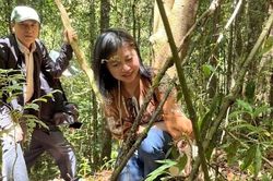 Bảo tồn và phát triển hai loài lan nguy cấp, quý hiếm ở Việt Nam