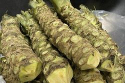 Trồng loại cây gia vị, người đàn ông thu củ bán giá 6 triệu đồng/kg