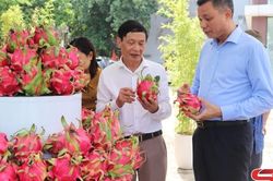 Tăng tốc, sáng tạo, hiệu quả, bền vững