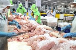 Còn nhiều tiềm năng xuất khẩu các mặt hàng cá tra giá trị gia tăng