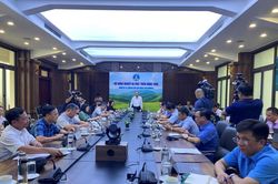 Phấn đấu đạt mục tiêu xuất khẩu nông, lâm, thủy sản 54 tỷ USD