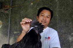 Giảng viên Đại học nghỉ việc về quê nuôi 'đặc sản tiến vua', thu cả tỷ đồng/năm