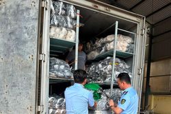 6 tháng đầu năm 2024: QLTT Tuyên Quang kiểm tra 249 vụ, xử lý 162 vụ việc
