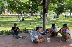 Gùi 'cỏ Mỹ' vào chòi nghỉ