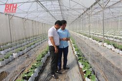 Đẩy mạnh chuyển đổi số trong các HTX