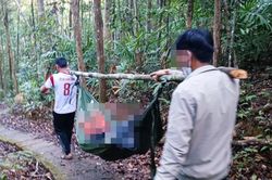Vào thác K50 tham quan, nữ du khách bị cây đổ đè tử vong
