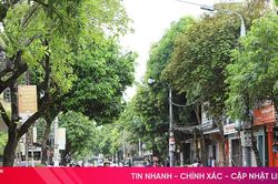 Chỉnh trang, nâng cấp một trong những con đường trung tâm TP Hà Tĩnh
