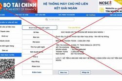 Mạo danh luật sư, giả mạo thông báo của Bộ Tài chính để lửa đảo