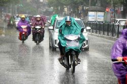 Tây Bắc Bộ mưa dông rải rác, có nơi mưa to