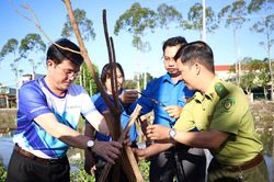 Hậu Giang: Trồng cây xanh chống biến đổi khí hậu