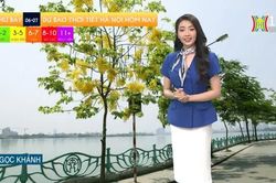 Dự báo thời tiết | 06/07/2024