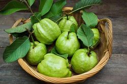 Không thể làm ngơ 8 lợi ích kỳ diệu của quả và lá ổi