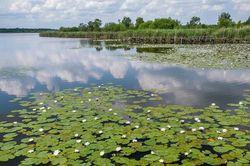 UNESCO công nhận Khu dự trữ sinh quyển đầu tiên tại Bỉ