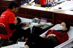 Hành trình đỏ - Kết nối dòng máu Việt