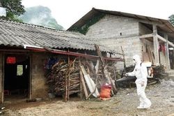 Nữ sinh ở Bắc Giang mắc bệnh bạch hầu, lây từ bạn cùng phòng