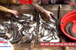Đưa hoạt động chụp đìa vào làm du lịch