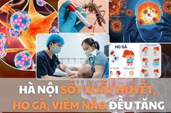 Hà Nội: Sốt xuất huyết, ho gà, viêm não tăng