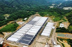 Tỉnh Thanh Hóa yêu cầu xử lý dứt điểm trang trại lợn gây ô nhiễm