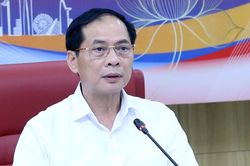 Ngoại giao văn hóa phục vụ phát triển bền vững đất nước
