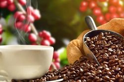 Yếu tố kéo đà giảm của giá cà phê chậm lại và những tín hiệu đáng mừng