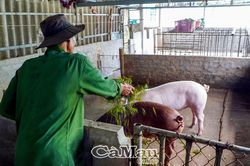 Giúp người từng lầm lỡ sớm hòa nhập cộng đồng