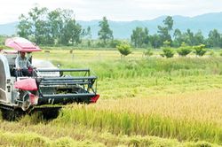 Những trường hợp được khuyến khích đầu tư vào đất đai theo Luật Đất đai mới nhất?