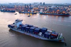 Cước vận tải biển 'thổi bay' lợi nhuận doanh nghiệp