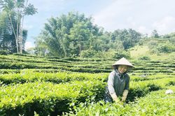 Xây dựng gia đình hạnh phúc, tiến bộ