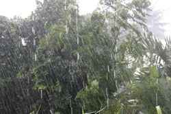 Dự báo thời tiết đêm nay và ngày mai (11/7)